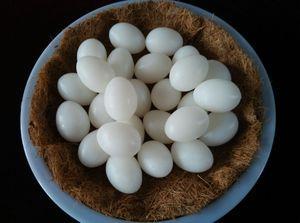 鸽子蛋吃了有什么好处(鸽子蛋的营养价值及功效？)