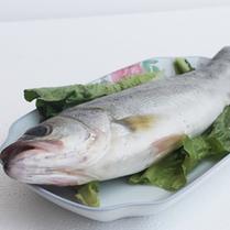 黄花鱼和鲈鱼哪个营养价值高(海鱼中哪些鱼的营养价值更高？)