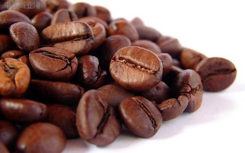 咖啡豆种类(咖啡豆的分类有哪些？)