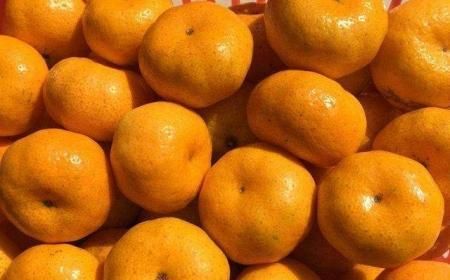 人一天吃几个桔子最最好(一天吃几个橘子为好呢？)