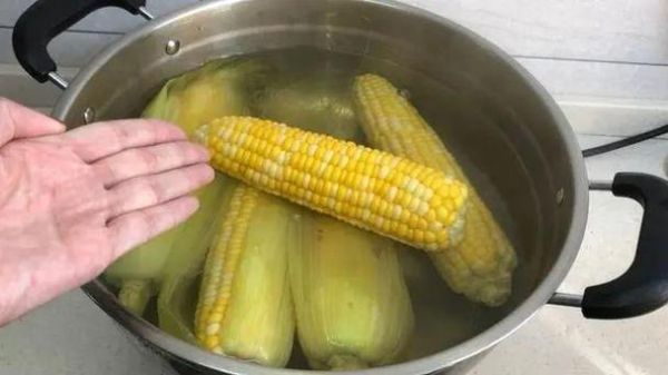 玉米煮多久能熟(玉米需要煮多久才能熟？)