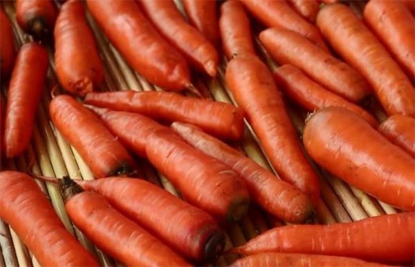 红萝卜和胡萝卜哪个营养价值高(黄胡萝卜和红胡萝卜营养区别)