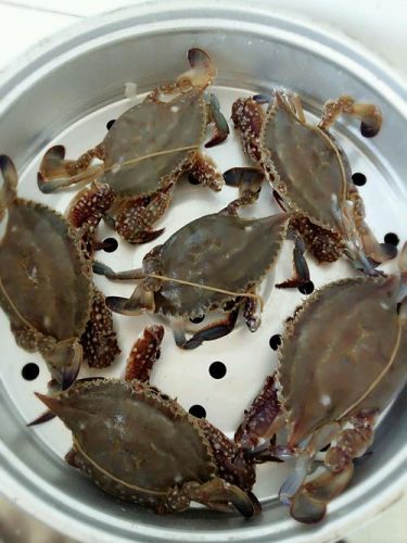 靠谱的螃蟹做法，涮煮蒸通吃！